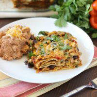 Tex Mex Enchilada Casserole My Kitchen Craze