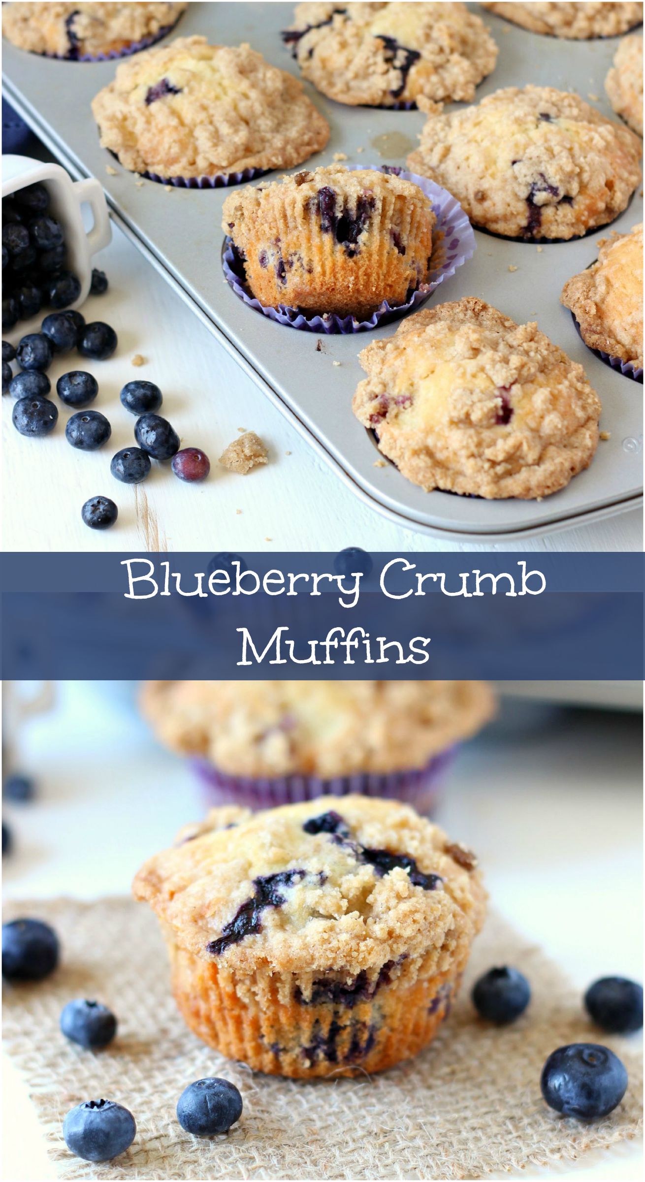 Blueberry Crumb Muffins ~ mykitchencraze.com ~ Muffins are perfect for breakfast. These muffins are loaded with juicy blueberries then topped with a crumb topping.