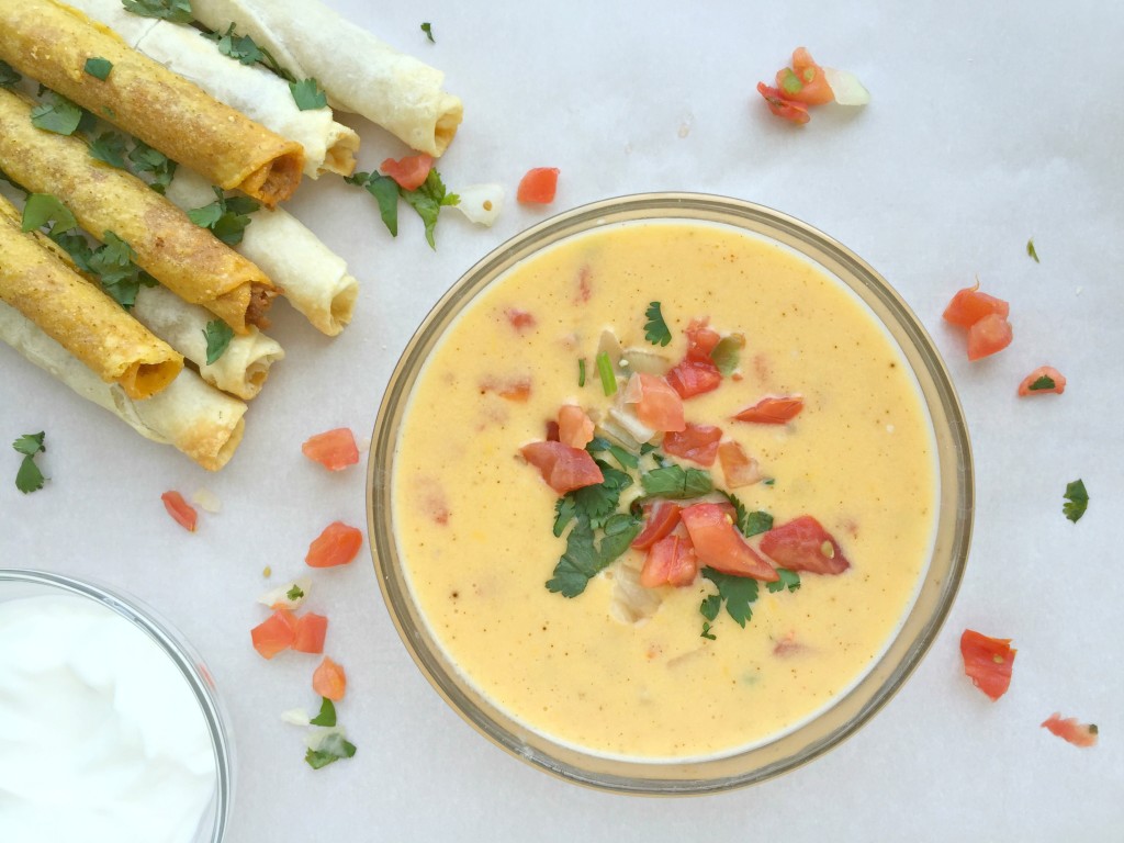 skinny-queso-dip-71-1024x768