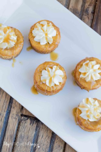 Mini Pumpkin Cheesecakes Plus A Video - My Kitchen Craze