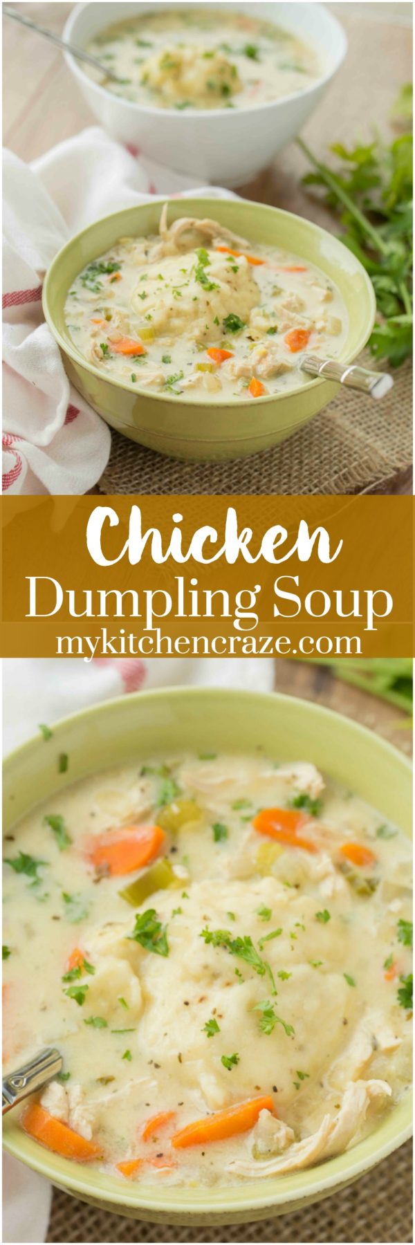 Chicken Dumpling Soup plus a Recipe Video - My Kitchen Craze