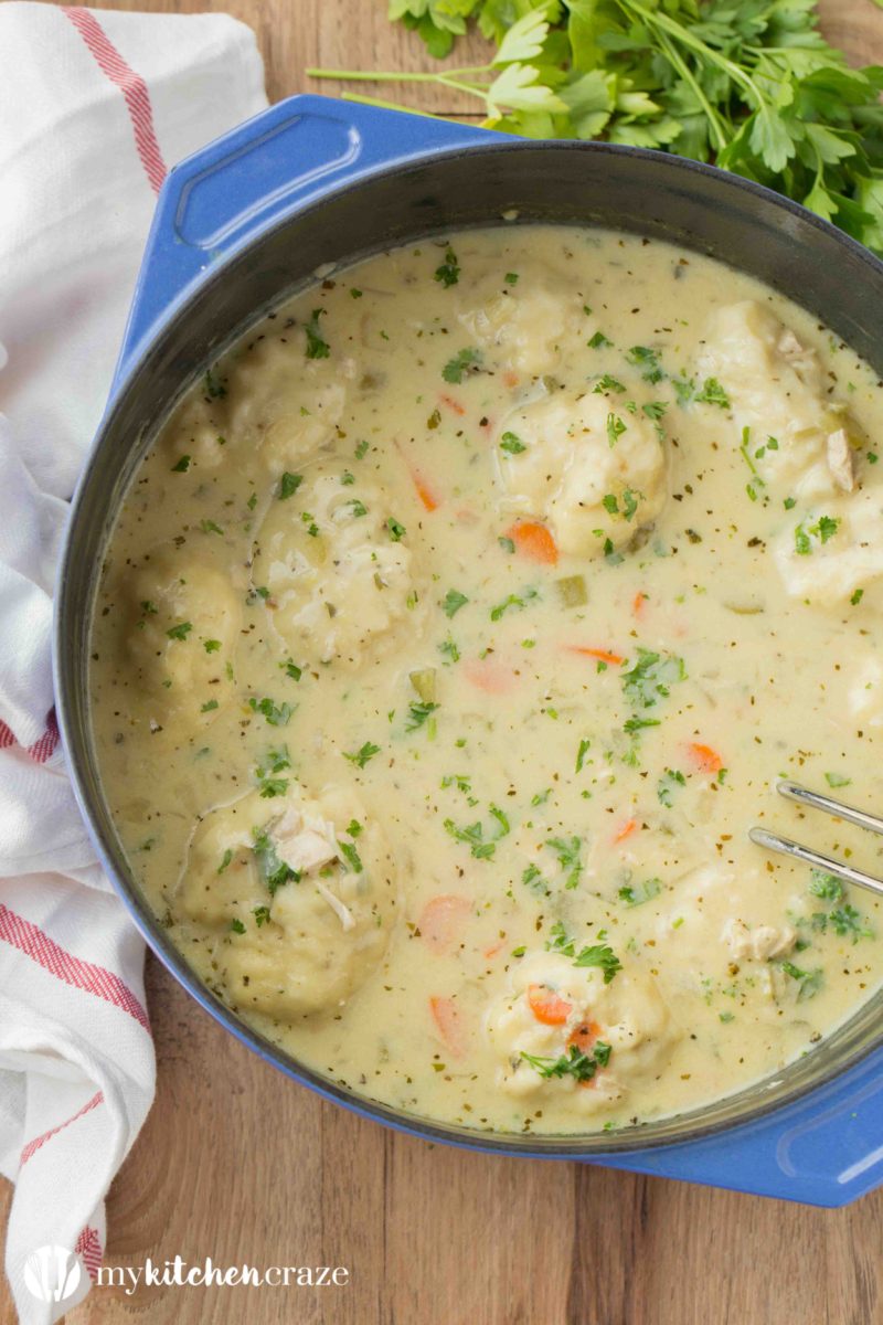 Chicken Dumpling Soup plus a Recipe Video My Kitchen Craze