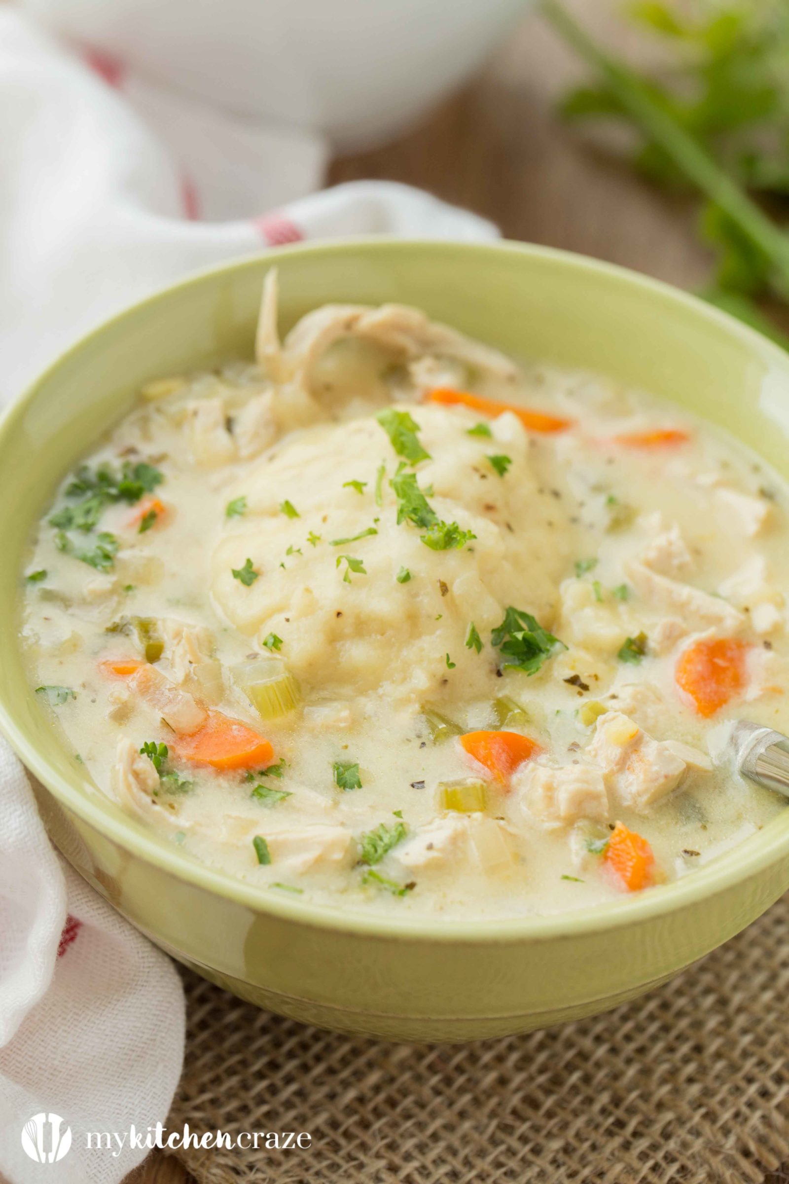 Chicken Dumpling Soup plus a Recipe Video - My Kitchen Craze