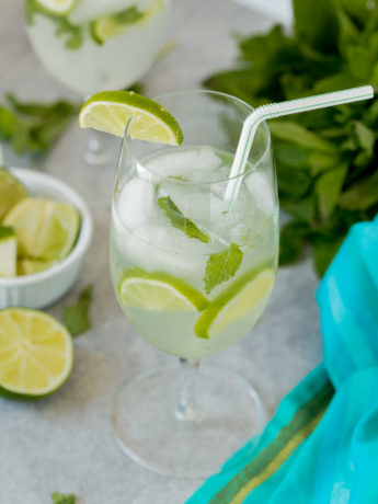 Easy Mojito Cocktail ~ Perfect drink for the summer months and only takes 6 ingredients to make. What drink could be better than that?