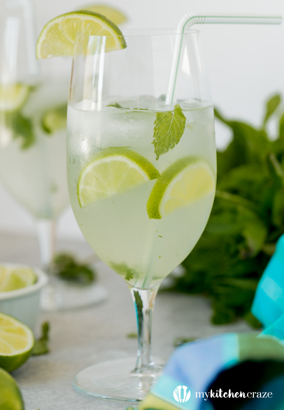 Easy Mojito Cocktail ~ Perfect drink for the summer months and only takes 6 ingredients to make. What drink could be better than that?