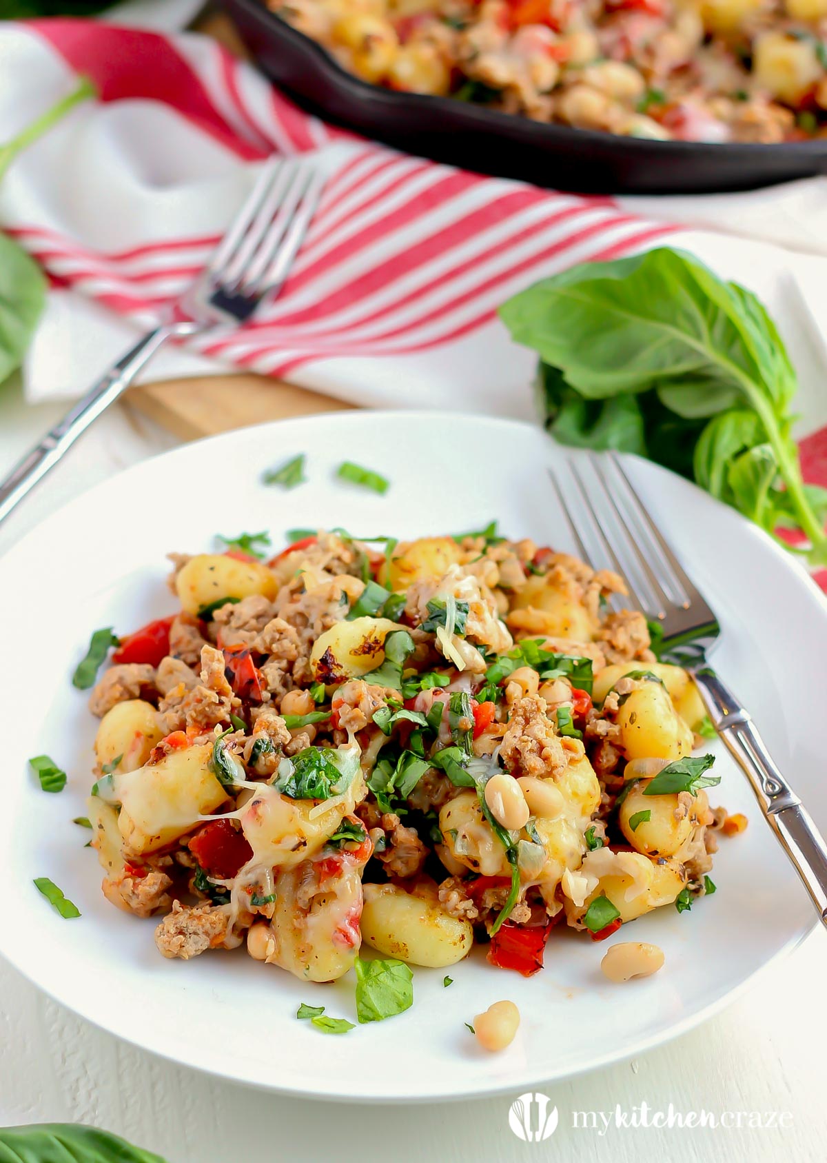 Gnocchi with Turkey & White Beans ~ mykitchencraze.com ~ A no fuss meal that will be on your table within 30 minutes.