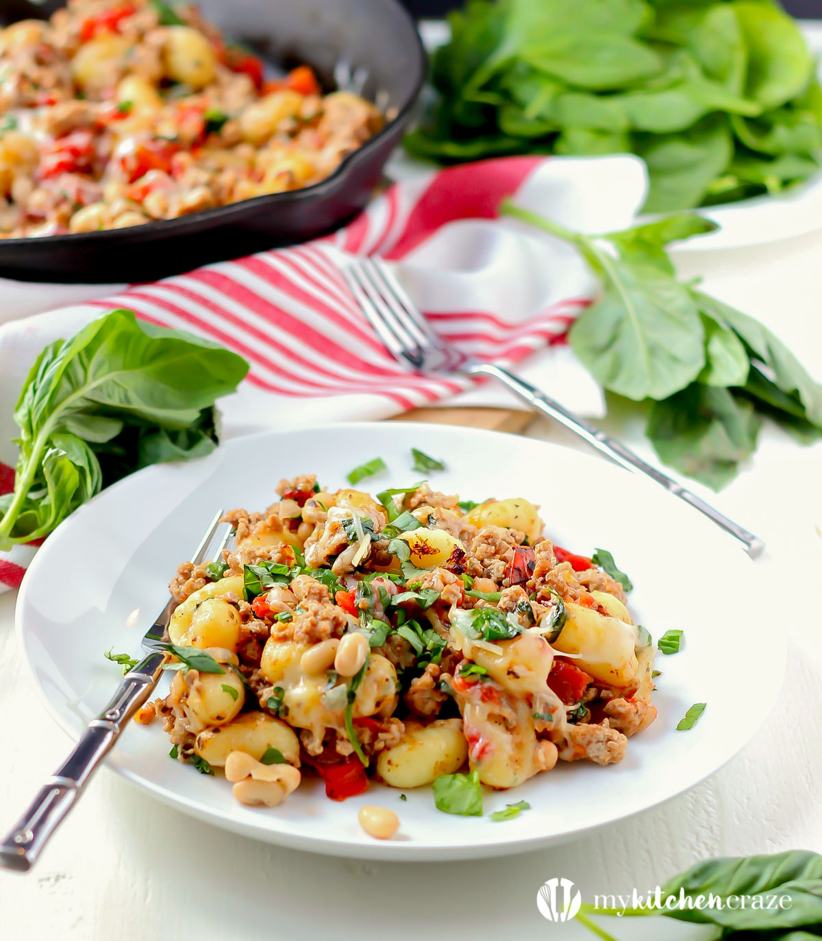 Gnocchi with Turkey & White Beans ~ mykitchencraze.com ~ A no fuss meal that will be on your table within 30 minutes.